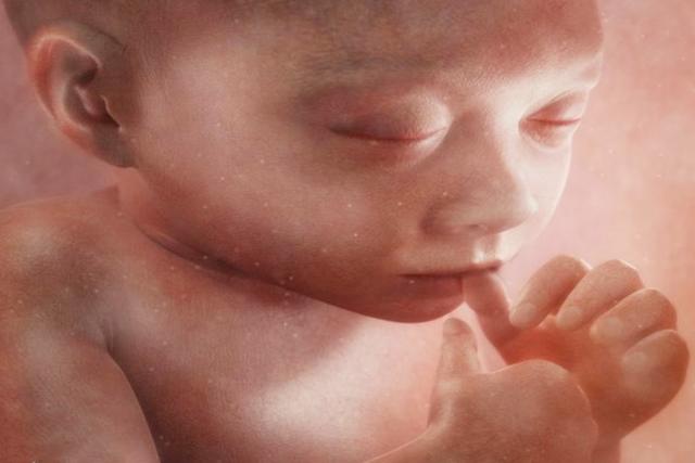 我爱我家|在孕期孕妈感觉肚子一跳一跳的，不是胎动异常，而是娃在忙这事儿