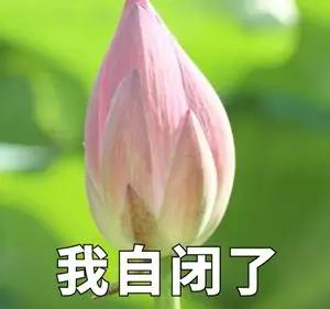 超级宝妈@产后脱发、漏尿、痔疮、肥胖......有了这些方法，不花钱就能恢复