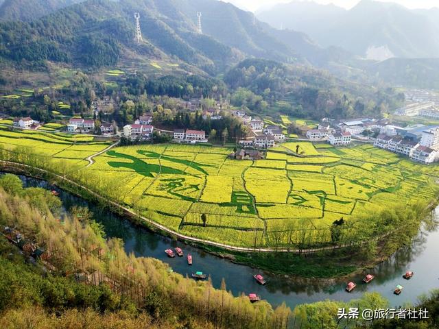 「约吗旅行」百万亩油菜花盛开，处处诗情画意，致最美的汉中油菜花