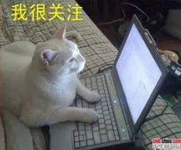 「暖先生格调」教育部：高三优先开学！近期将决定高考是否延期！周末和暑假要不要补课？信息量很大……
