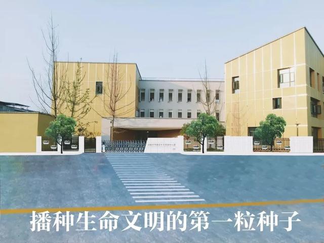 [超级宝妈]成都 | 摇号的老大难，今年会好吗？