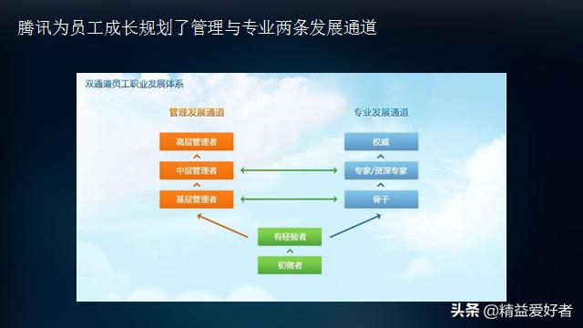 华为、腾讯、万科员工职业发展体系建设与实践