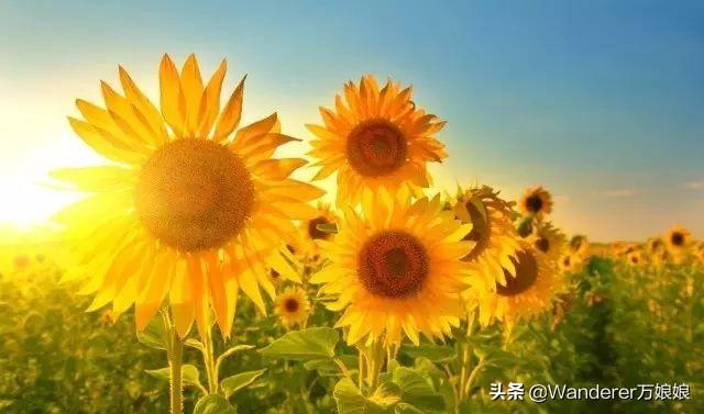「你的育儿经」家长和老师很难搞好关系？家长注意这七个细节，让老师改变态度