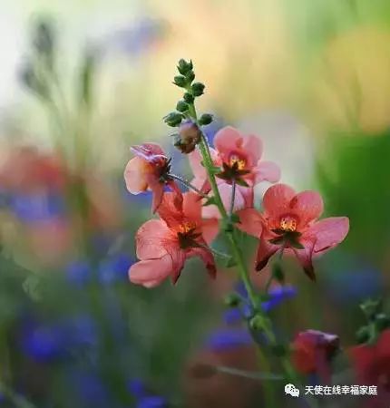 [暖先生格调]孩子的每一个坏习惯背后，是你没看到的需求
