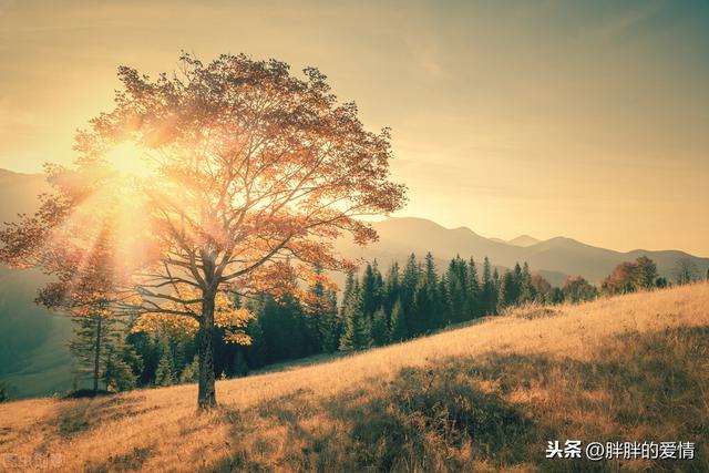 阳光下灿烂，风雨中奔跑，争气永远比生气聪明