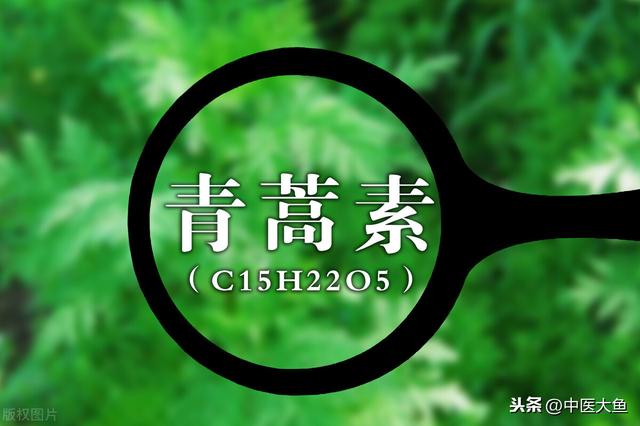 张廷模中药学讲稿 32 青蒿、地骨皮、白薇、银柴胡、胡黄连