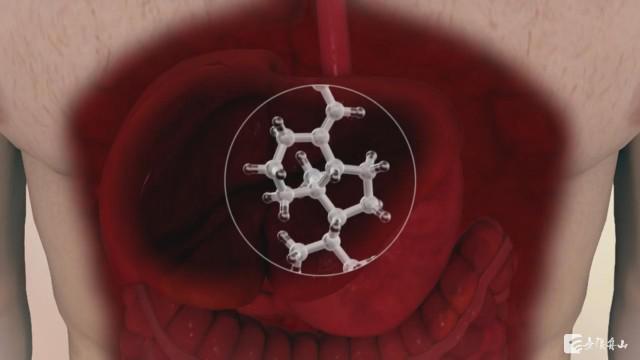肝脏|看手掌可以查肝病？这个说法你听过吗？