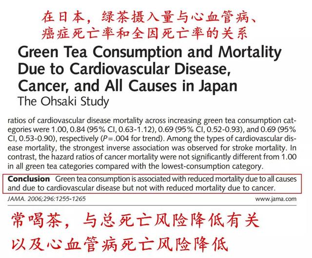 不只白开水，它也是肾友最健康的饮品之一！常喝有助延缓肾病进展