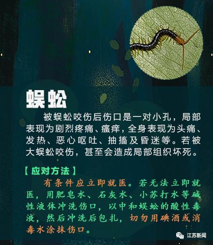 咬伤|被它咬了一口，女子窒息身亡！医生：第一时间应这样做