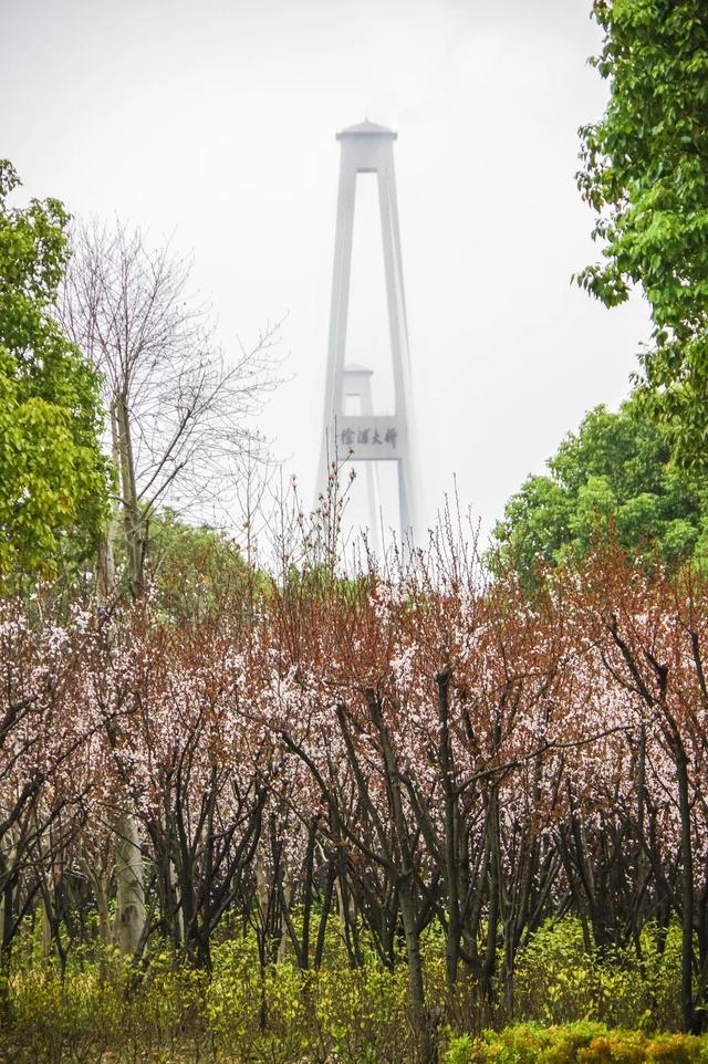 来这里，遇见春天的美