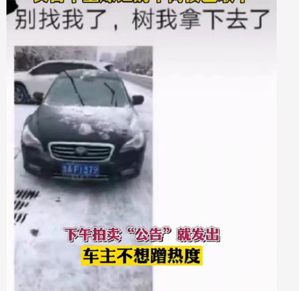 吉林一轿车“头顶”树枝上路，成网红车，全网通缉车主