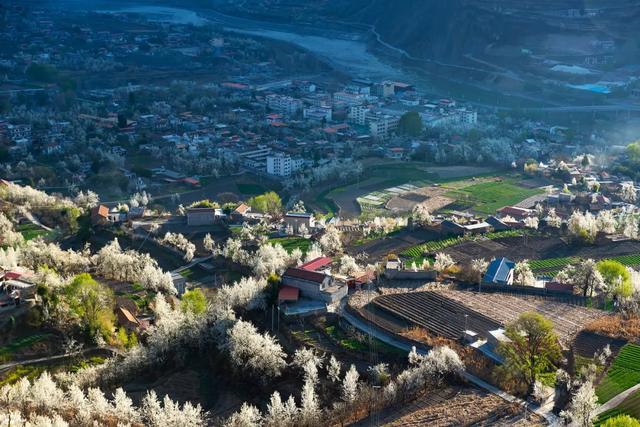 「旅行柚子君」天上云海！地上花海！这些冒着仙气的地方，竟藏了中国最美风景