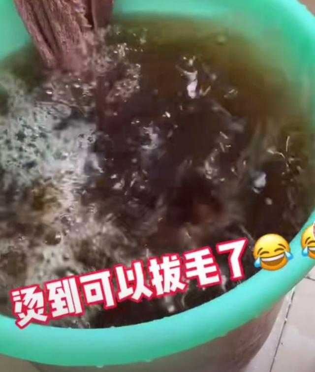 你的育儿经▲月子里看了婆婆放的洗澡水，产妇哭笑不得，网友：原来这么多同款