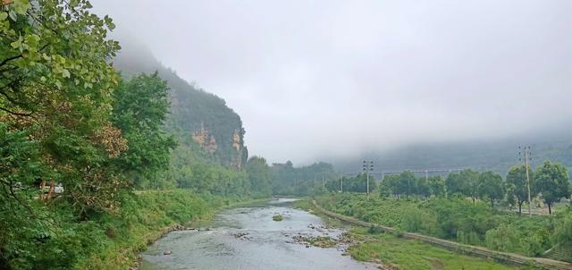 七绝 雨行清晨