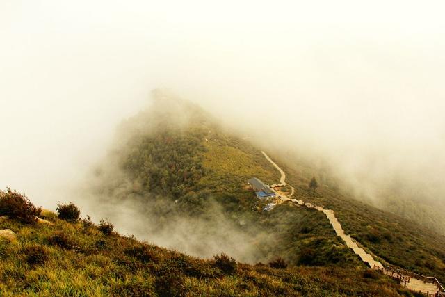 浓秋色染驼梁山/图文郝贵云