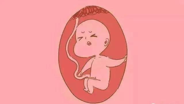 超级宝妈▲幸孕的奇迹第20周