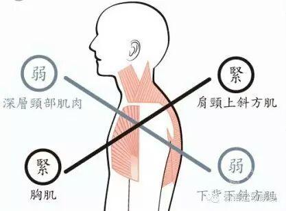 富贵包与高血压——病人终生吃药的另一种原因