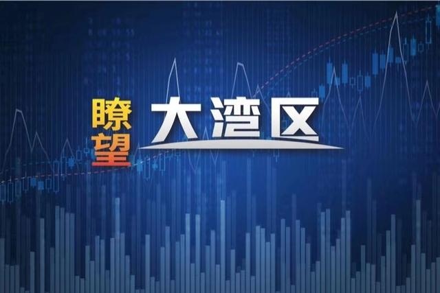 《瞭望大湾区》：“粤商通”APP上线仅1年多 注册市场主体超300万