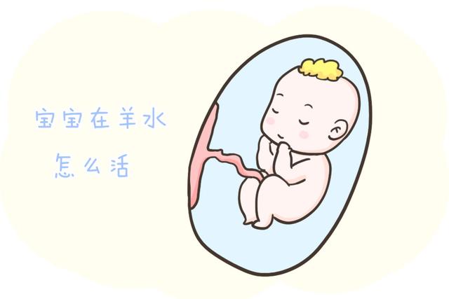 [超级宝妈]一篇来自胎宝的自述：我在妈妈羊水里的“惬意生活”，看完暖化了