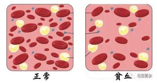 「暖先生格调」比起缺钙、锌、DHA,缺了它才更要命!直接影响智力!