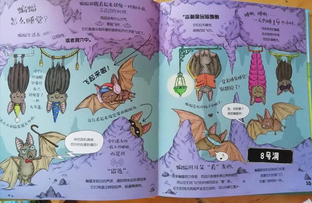 你的育儿经■适合3岁小朋友读的动物科普书