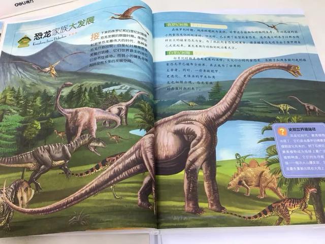 超级宝妈▲孩子上学第300天：爸妈集体变学霸，老人学会了看谱子！