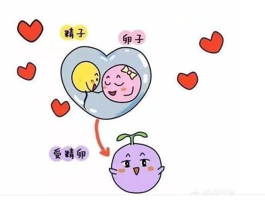 超级宝妈|怀孕1周的人，身体会有什么奇妙的感觉吗？