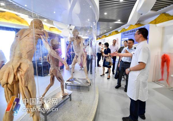 生命|宁波首个人体生命科学馆开馆