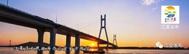 科技成果落地转化助力我区经济高质量发展