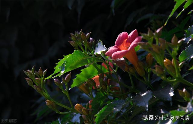 让孩子赢在生命形成的一刹那