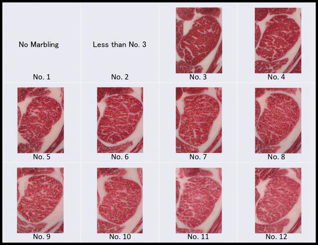 传闻中的日本和牛肉到底是什么？