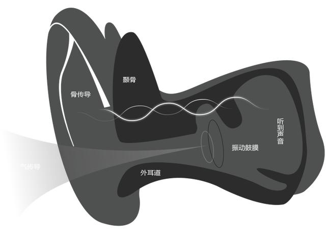 解放双耳，为运动而生，韶音OpenMove骨传导耳机体验