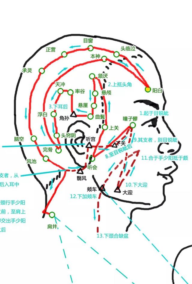 脱发、白发的中医调养方案，快试试吧