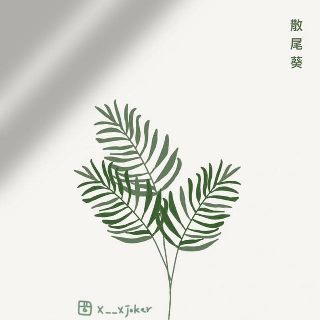 这些植物 可以一秒看穿你的爱情观 别不信