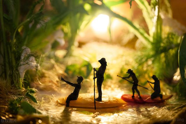 花一样的青春|怀孕8个月攀岩滑雪走钢丝：只是拍个孕妇照，要不要这么拼？