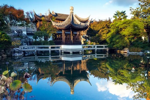 「旅行柚子君」浪漫花园:欣赏各地奇珍异草共同生长的繁荣景象