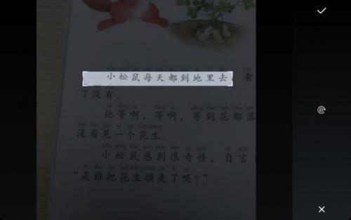 【环球网】如何让识字更有趣学习更自主？