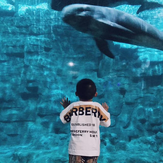 「你的育儿经」带孩子出游是“浪费钱”吗?国内这八个亲子旅游的热门地值得走走