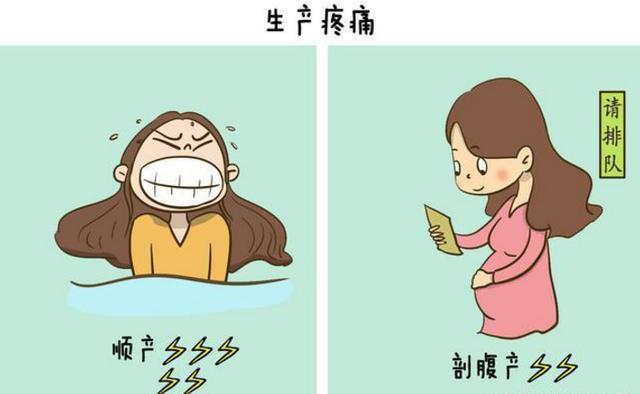 「超级宝妈」六张图告诉你顺产和剖腹产的区别, 太形象了