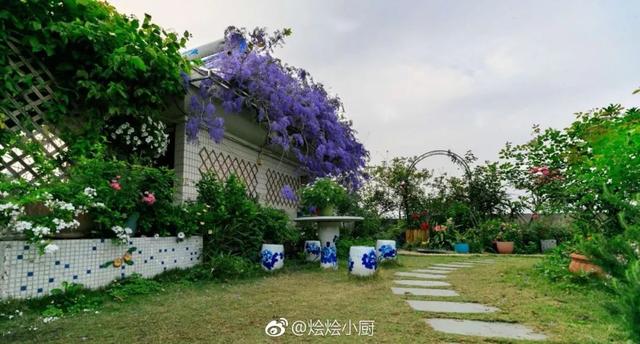 大咖分享 | 蓝色花境植物有那些？