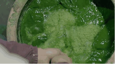 青团|你想了一年的春天限定“青团”来了，外皮软糯，内馅温润，太幸福了！