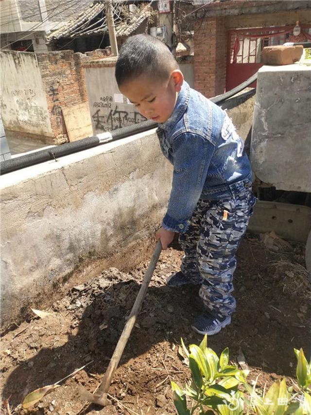 [你的育儿经]县一幼开展“线上植树活动”