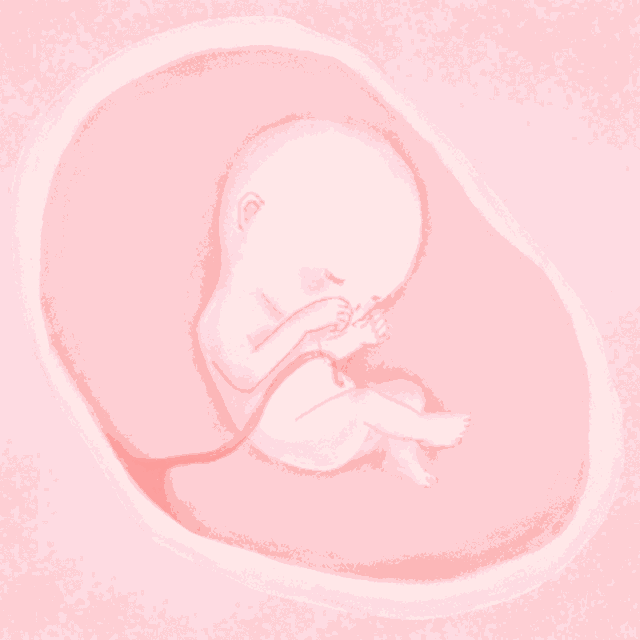 孕妇产检时突发胎儿宫内窘迫，南京市第一医院医护19分钟极速抢救，母女平安