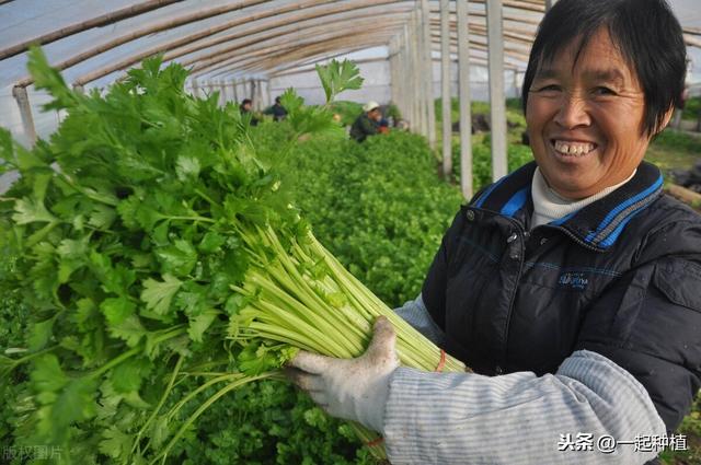 西北农村有道怪味美食，城里人说它是黑暗料理，农民：给肉都不换