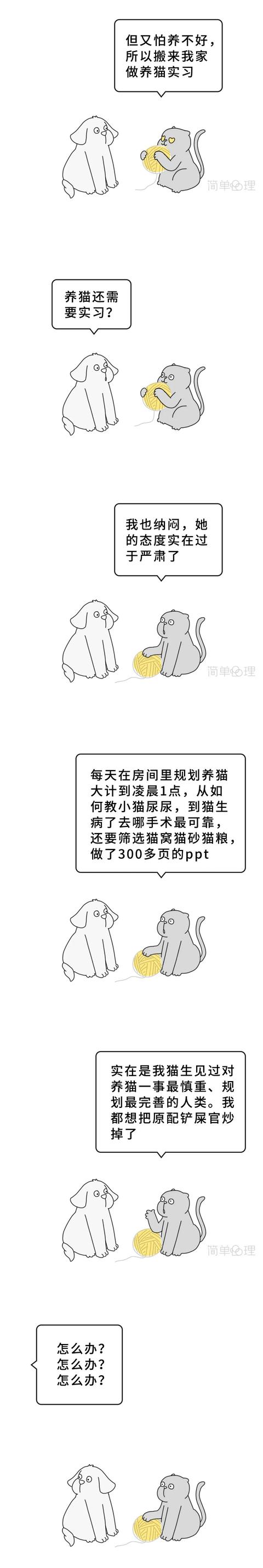 「你的育儿经」她不敢幸福的样子,真让人心疼|漫画