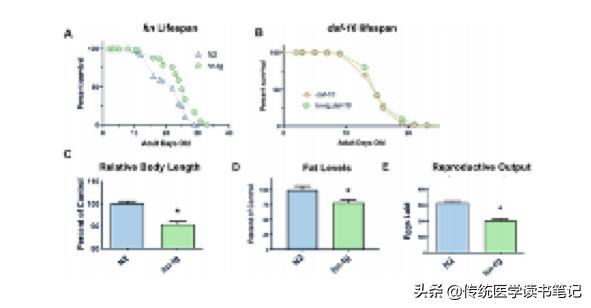 美科学家发现青春分子：或破解衰老密码，实现全民长寿梦想