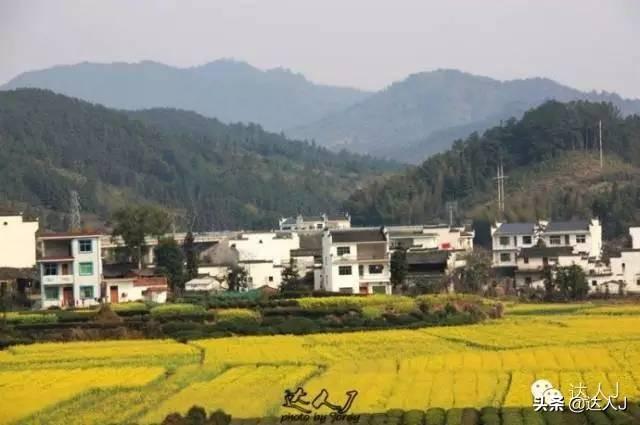 [世界那么大]#唤醒好春光#这次，我要去婺源感受不一样的油菜花世界