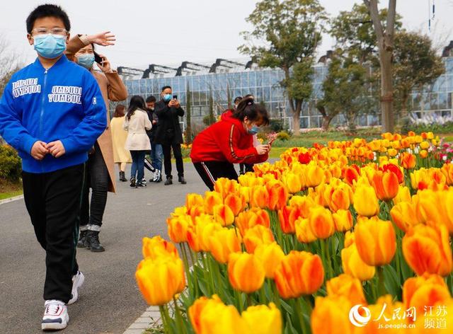 约吗旅行:南京溧水:政策扶持美景“加持”游客数量攀新高