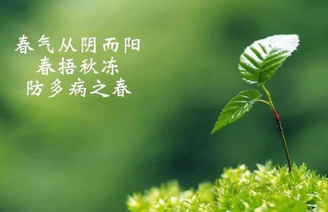 你的育儿经@春捂,到底要给孩子捂哪里?