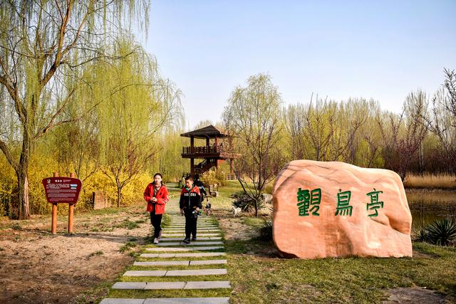 孝义市孝河国家湿地公园踏青赏景